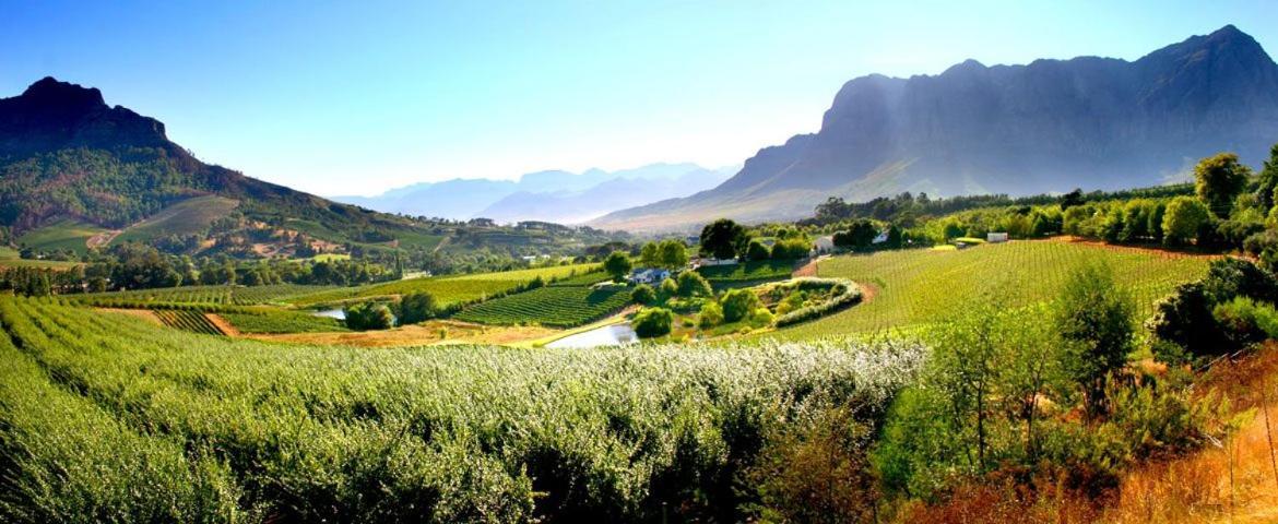 Gasthuis Alluvia Boutique Winery & Luxury