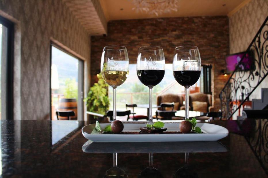 Alluvia Boutique Winery & Luxury Gasthuis