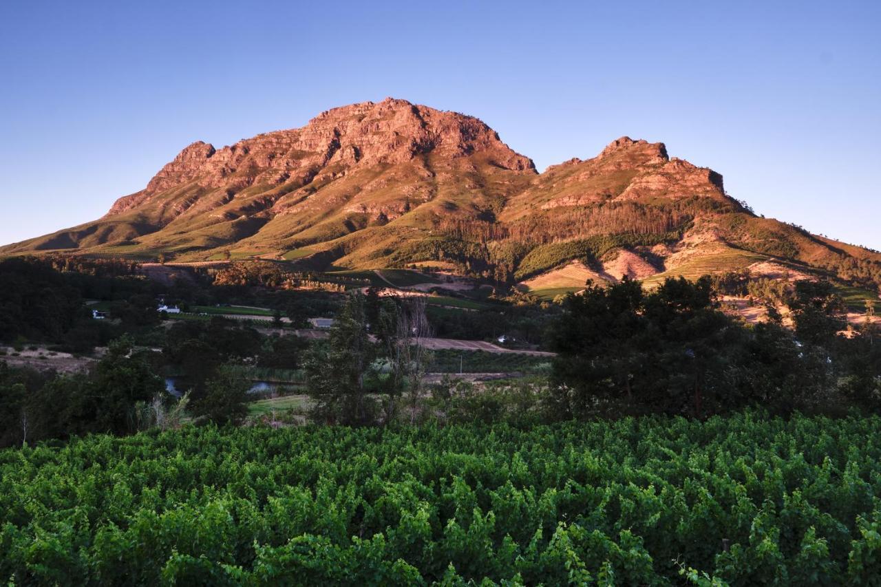 Alluvia Boutique Winery & Luxury Gasthuis 5*