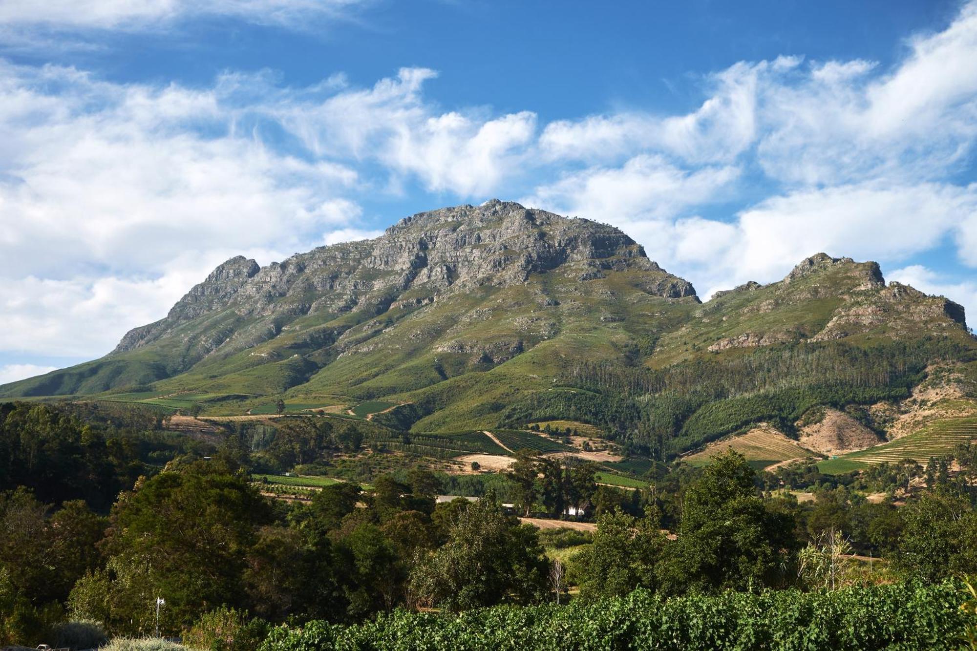 Alluvia Boutique Winery & Luxury Gasthuis Stellenbosch